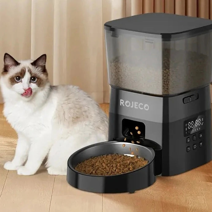 Automatischer Futterspender für Katzen